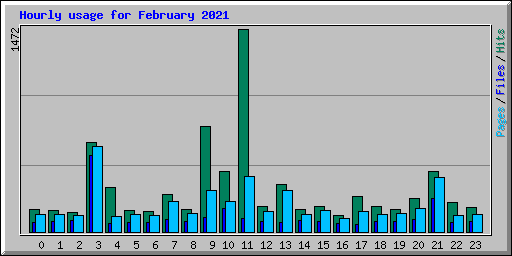 Hourly usage for February 2021