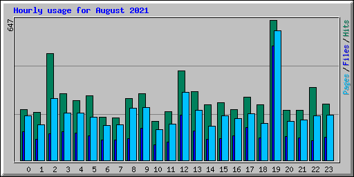 Hourly usage for August 2021