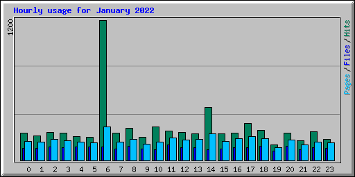 Hourly usage for January 2022